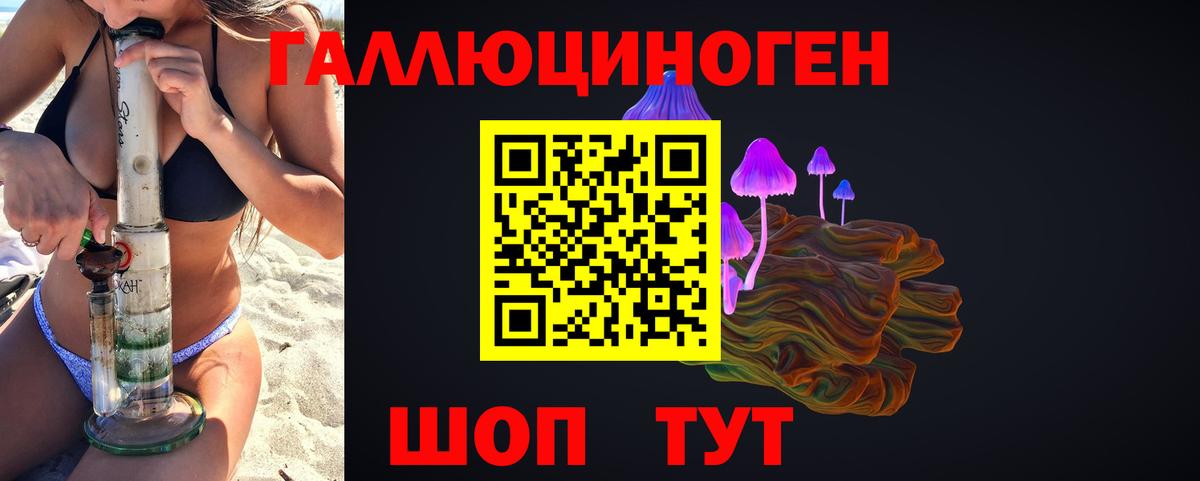Псилоцибиновые грибы Psilocybine cubensis Шадринск