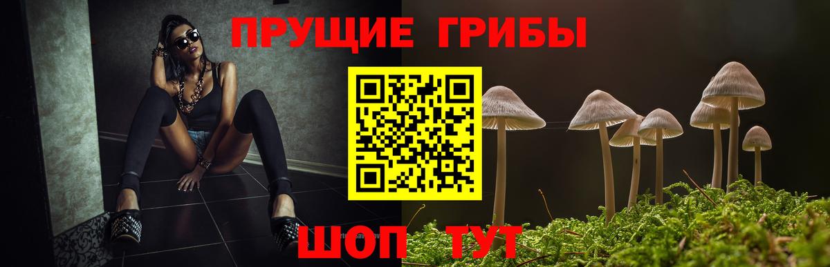 Псилоцибиновые грибы Psilocybine cubensis  Вход с VPN  Шадринск  Галлюциногенные грибы прущие грибы 